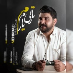 دانلود آهنگ مهرداد شیخی زاده نازلی یارم با کیفیت 320